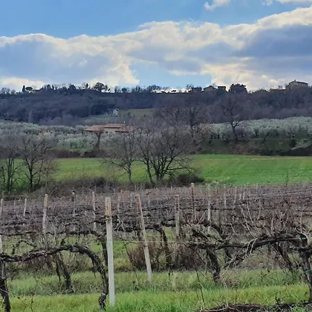 Tenuta Santa Chiara *